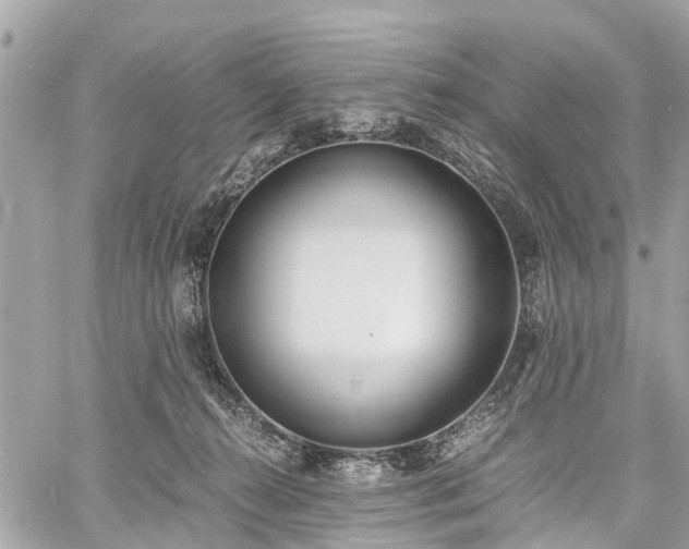 X0000060800272200511141448