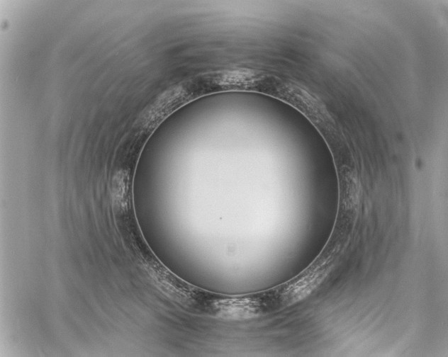 X0000060800273200511141448