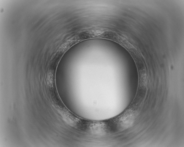 X0000060800274200511141448