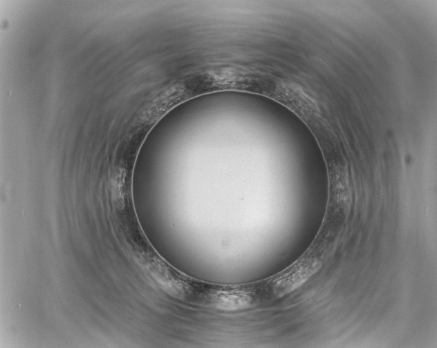 X0000060800275200511141448