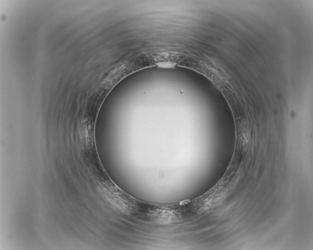 X0000060800276200511141448