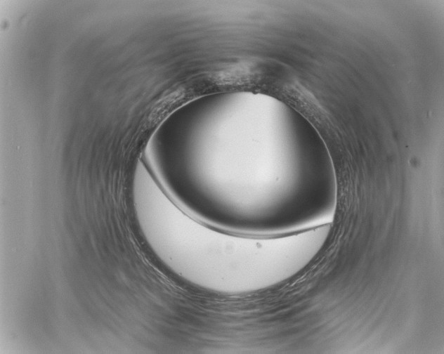 X0000060800277200511141448