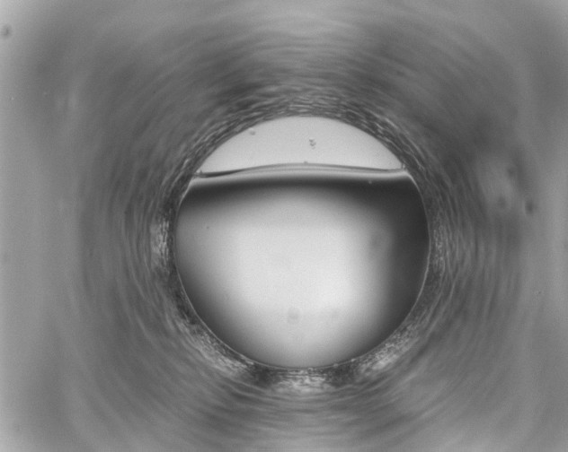 X0000060800278200511141448