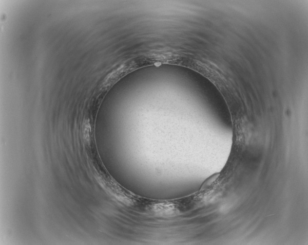 X0000060800279200511141448