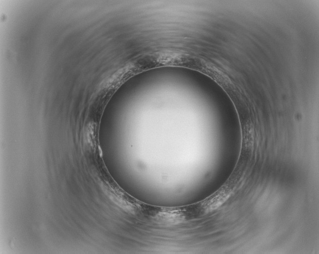 X0000060800280200511141448