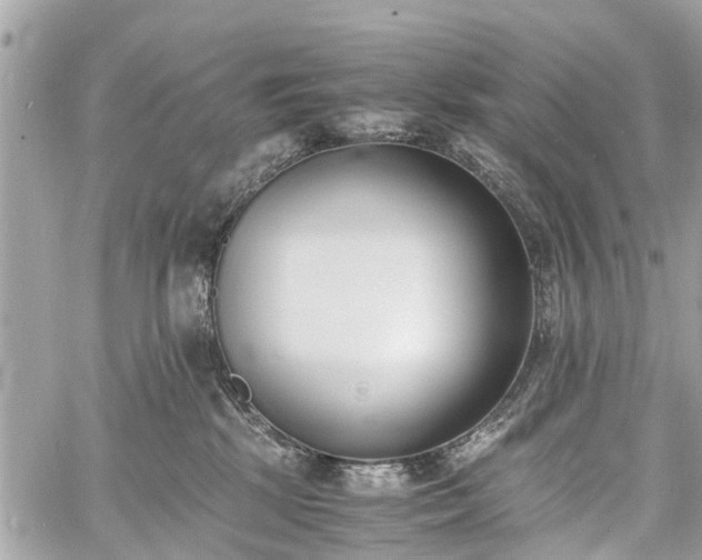 X0000060800281200511141448