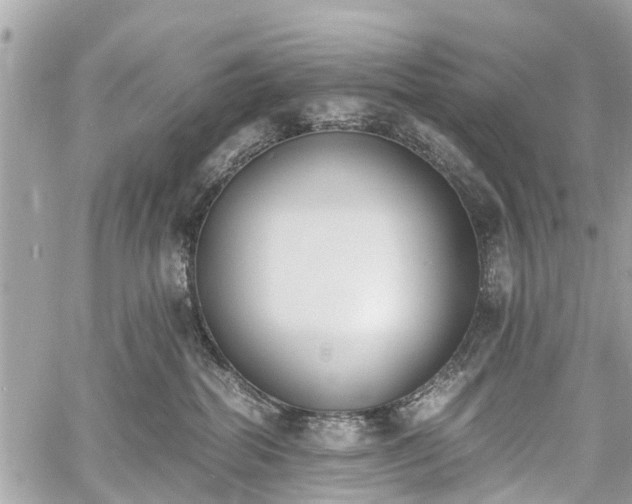 X0000060800282200511141448