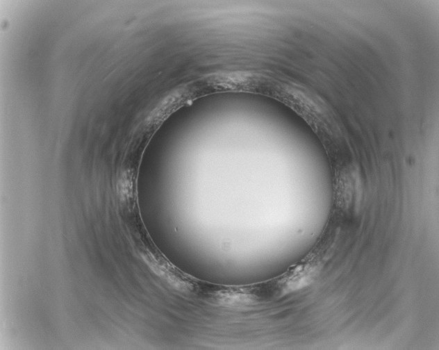 X0000060800284200511141448