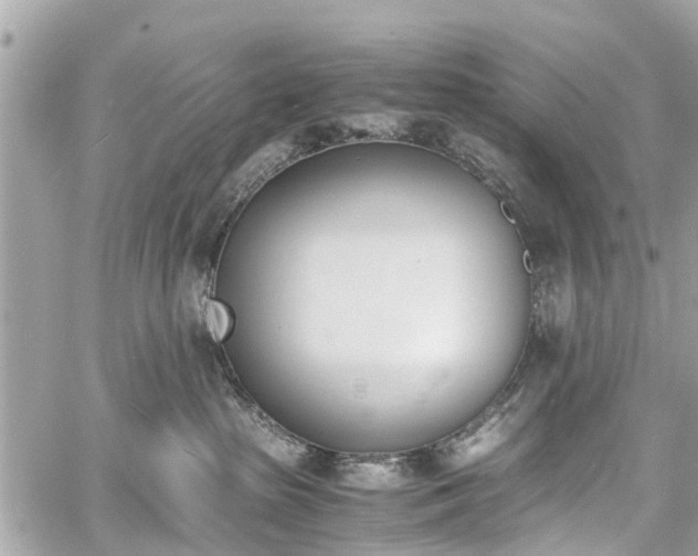 X0000060800285200511141448