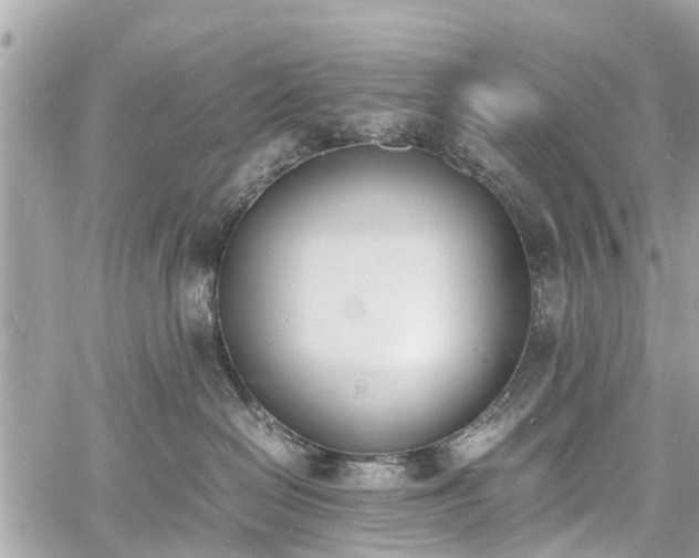 X0000060800286200511141448