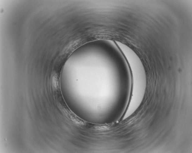 X0000060800287200511141448