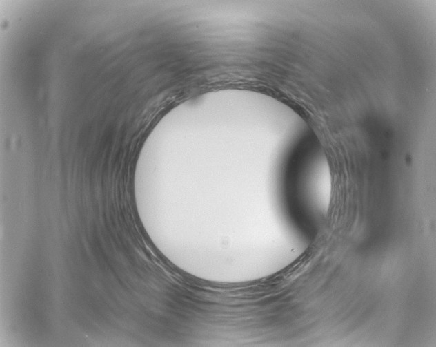 X0000060800288200511141448