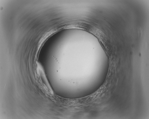 X0000060800289200511141447