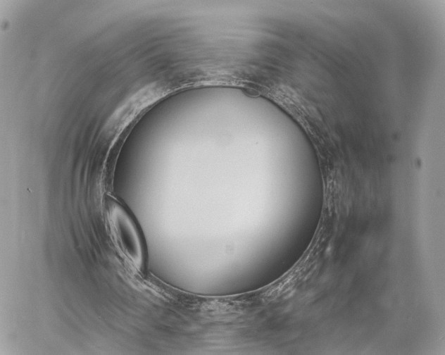 X0000060800290200511141447