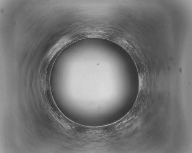 X0000060800291200511141447