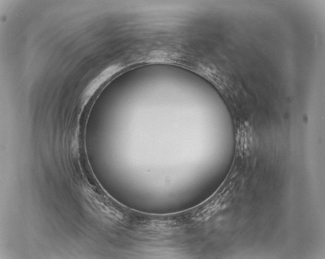 X0000060800292200511141447