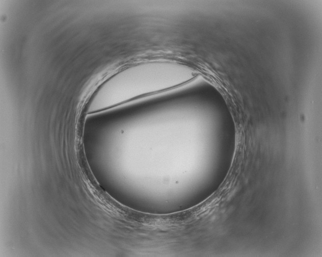 X0000060800293200511141447