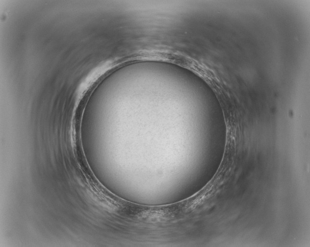 X0000060800294200511141447