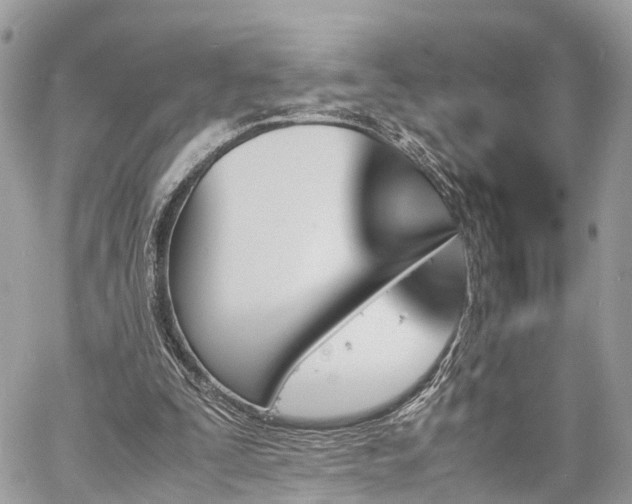 X0000060800295200511141447