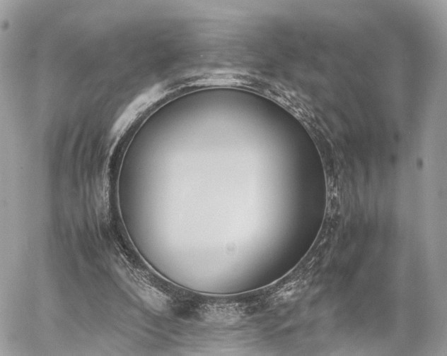 X0000060800296200511141447