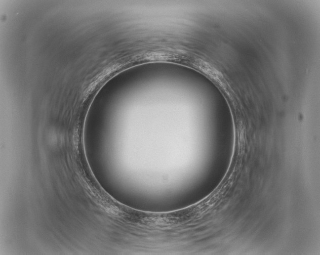 X0000060800297200511141447