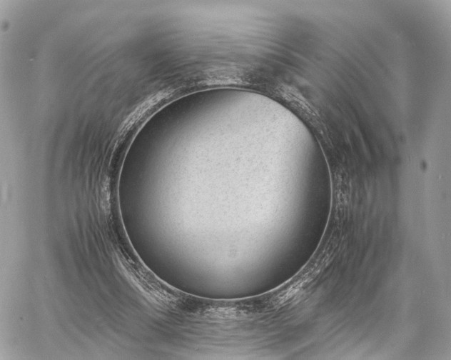 X0000060800298200511141447