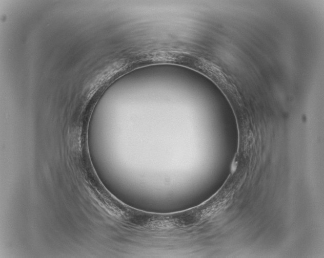 X0000060800299200511141447