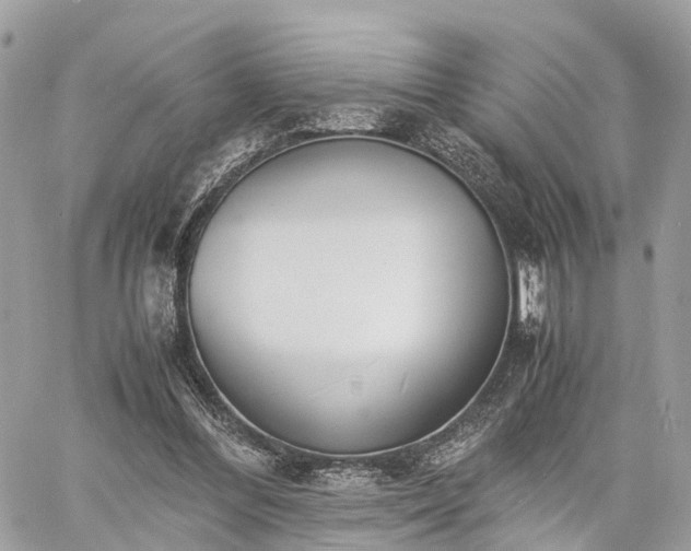 X0000060800300200511141447