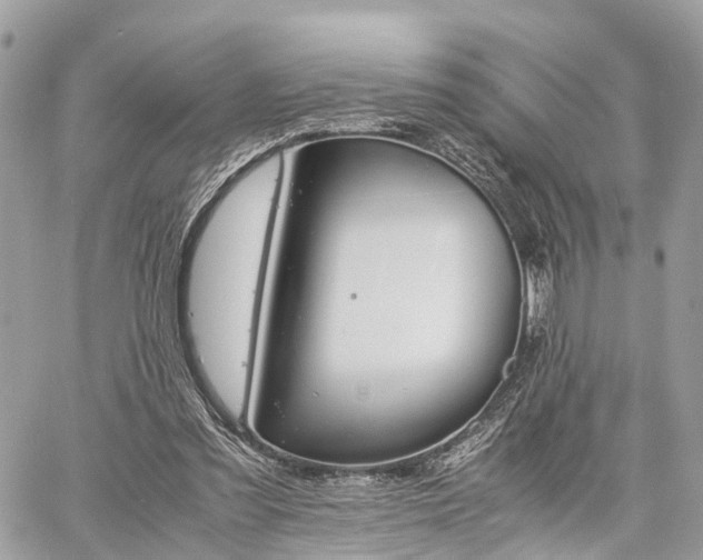 X0000060800301200511141447