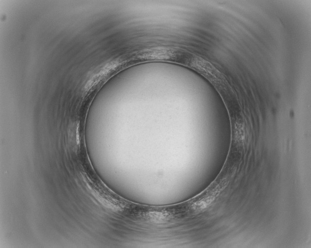 X0000060800302200511141447