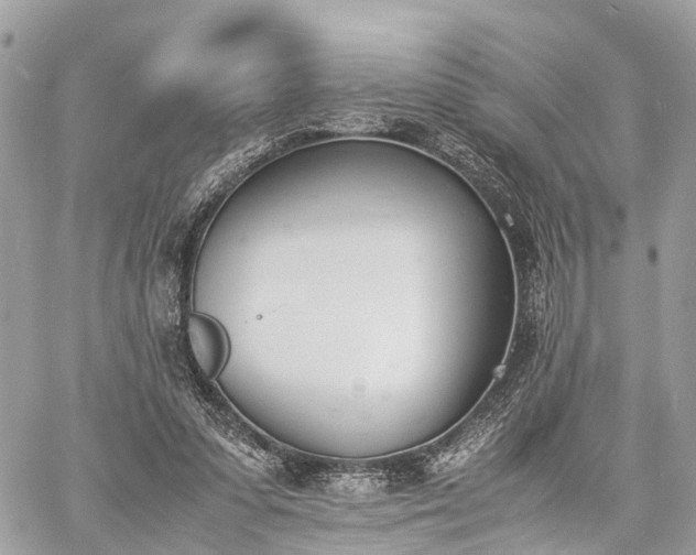 X0000060800303200511141447