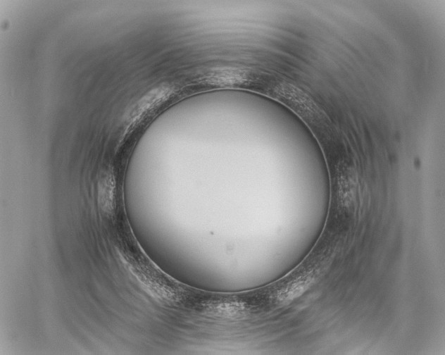 X0000060800304200511141447