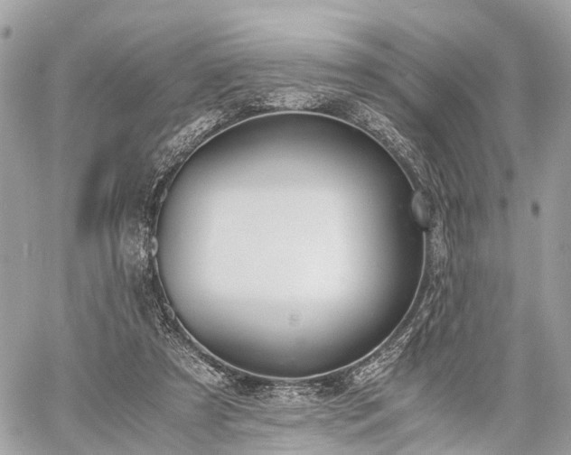 X0000060800305200511141447