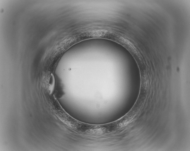 X0000060800307200511141447