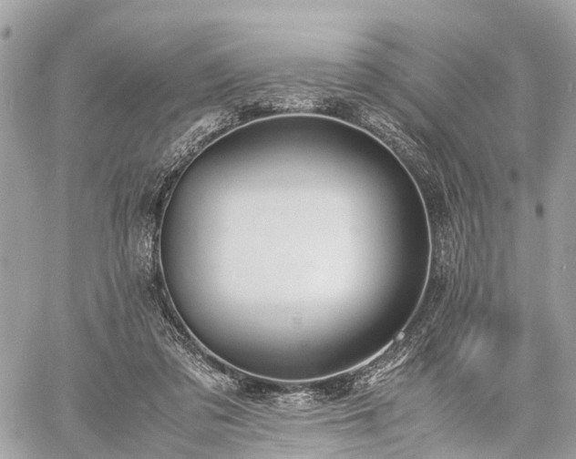 X0000060800309200511141447