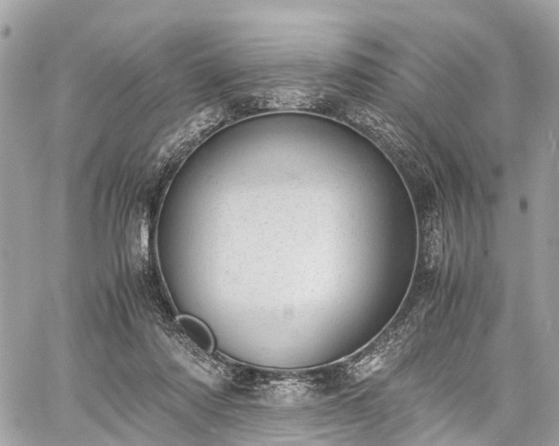 X0000060800310200511141447