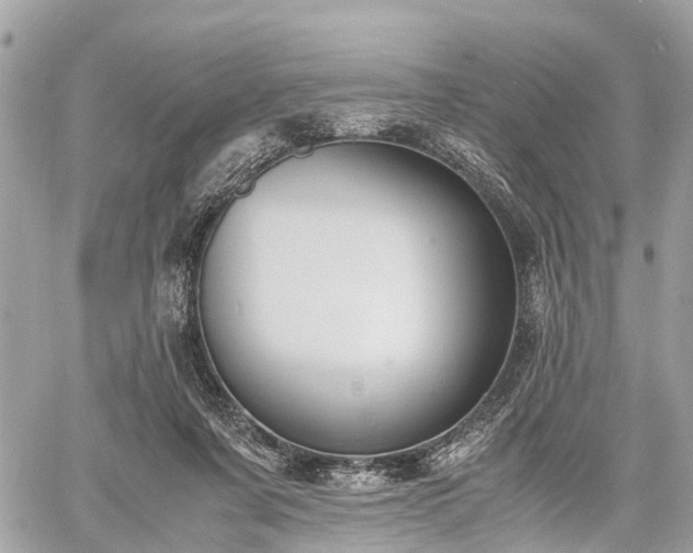 X0000060800311200511141447