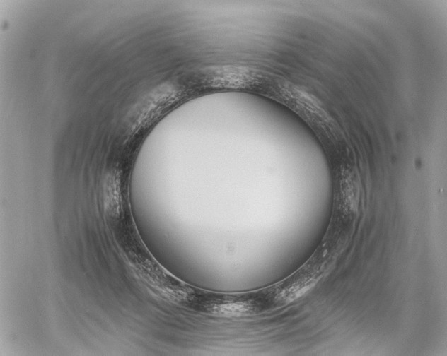 X0000060800312200511141447