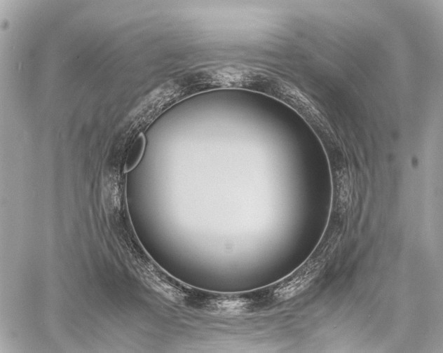 X0000060800313200511141447