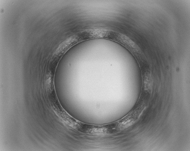 X0000060800314200511141447