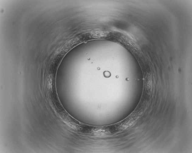 X0000060800315200511141447