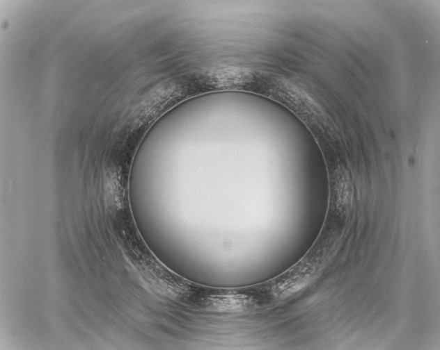 X0000060800316200511141447