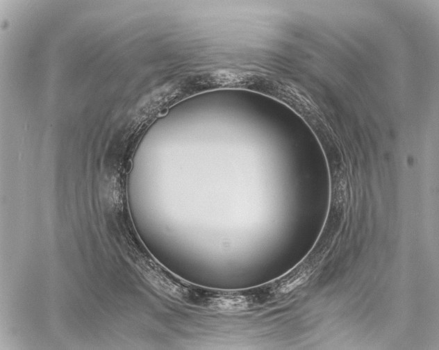 X0000060800317200511141447