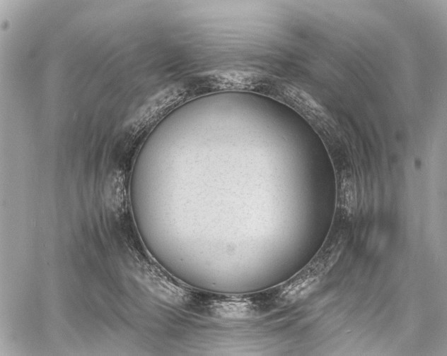 X0000060800318200511141447