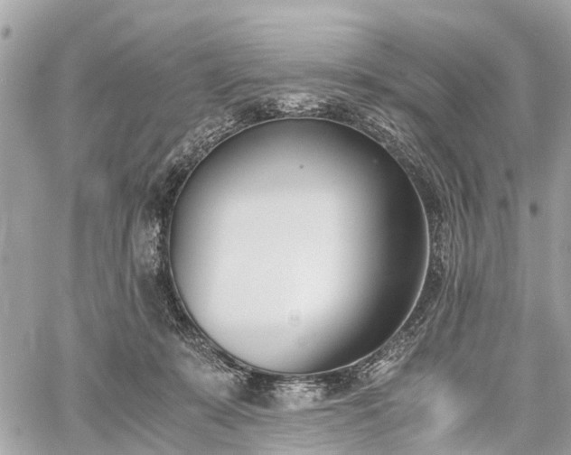 X0000060800319200511141447