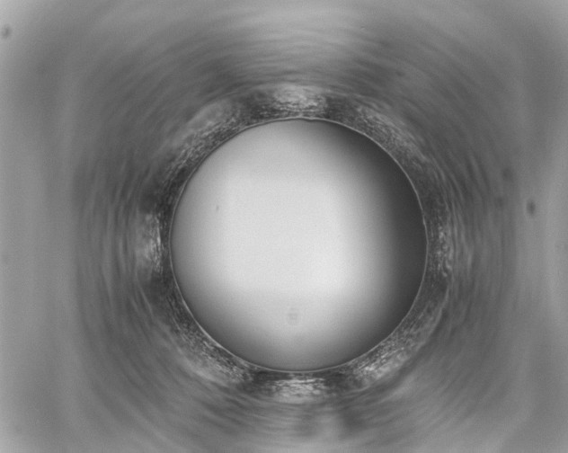 X0000060800320200511141447