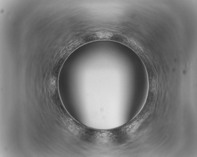 X0000060800321200511141447