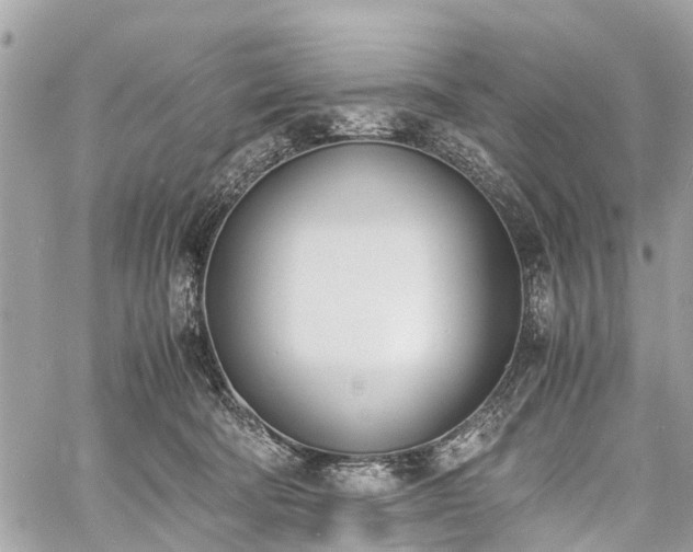 X0000060800322200511141447