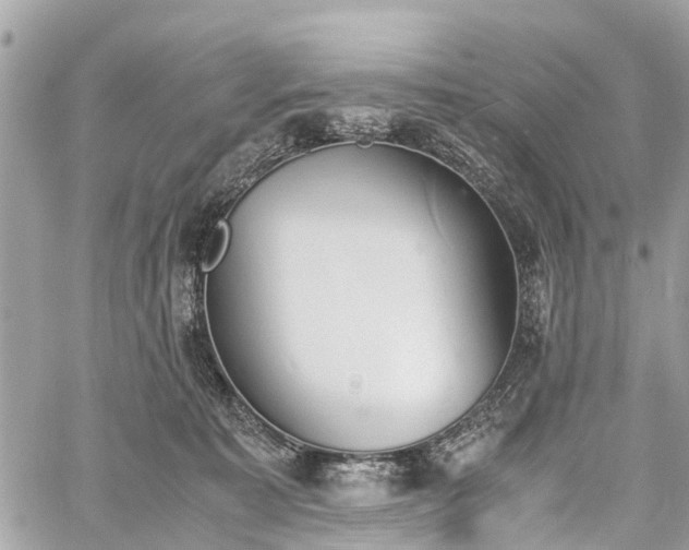 X0000060800323200511141447