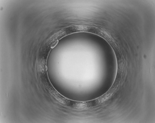 X0000060800325200511141446